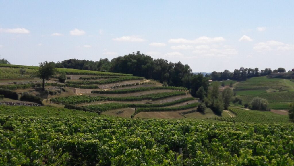 Dyal Construction Maconnerie Libourne Realisations 4